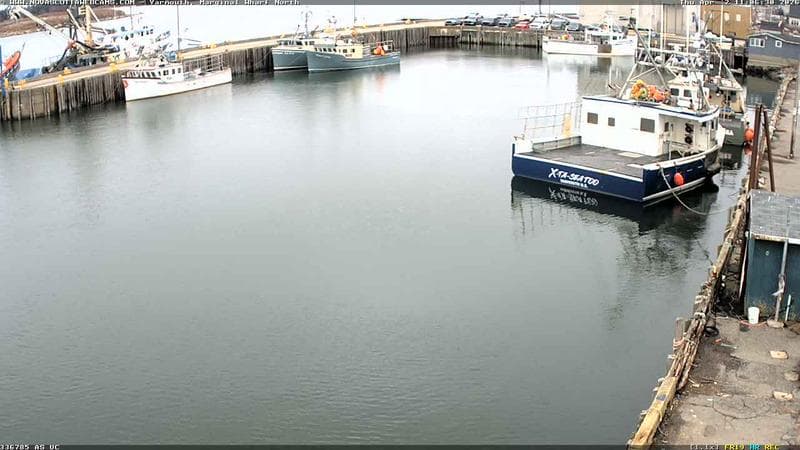 Marginal Wharf North