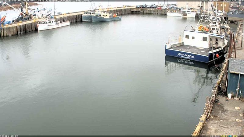 Marginal Wharf North