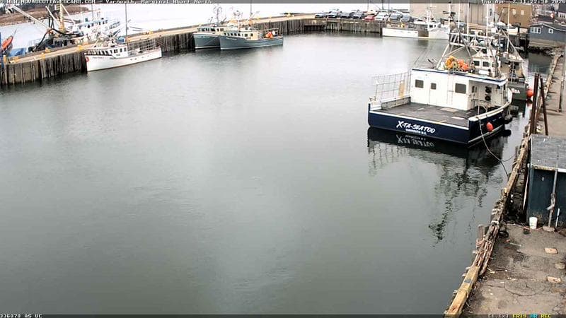 Marginal Wharf North