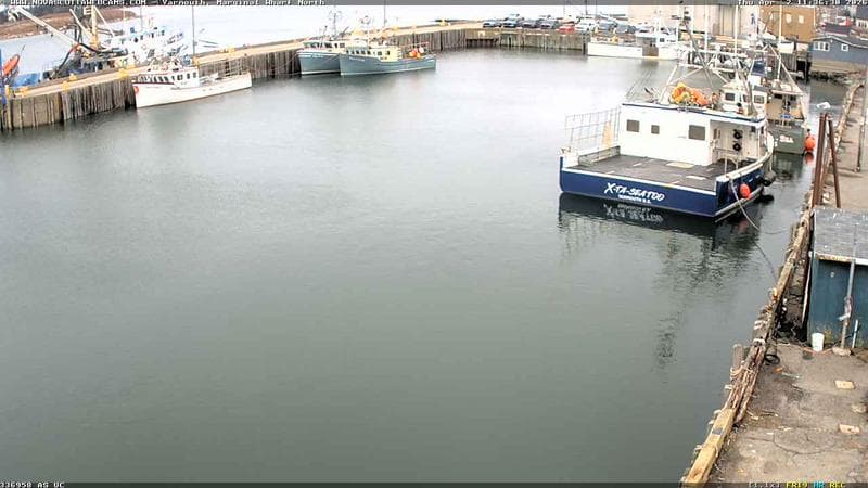 Marginal Wharf North