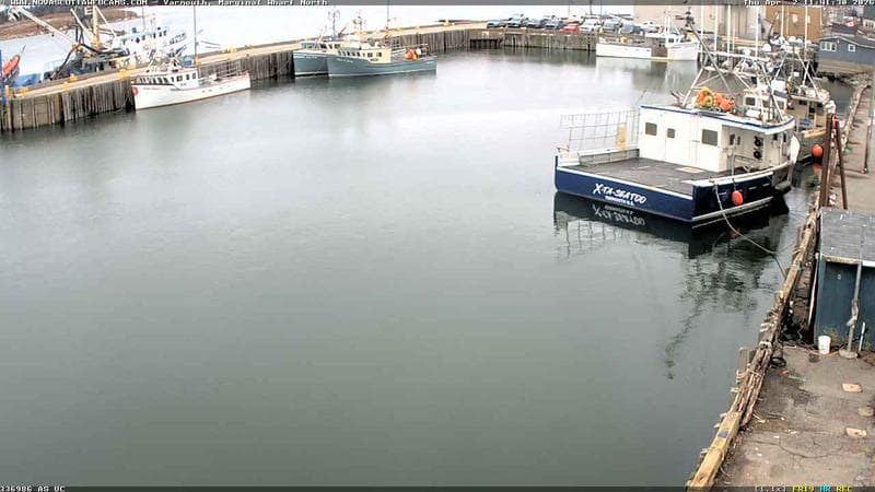 Marginal Wharf North