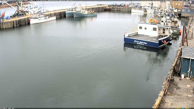 Marginal Wharf North