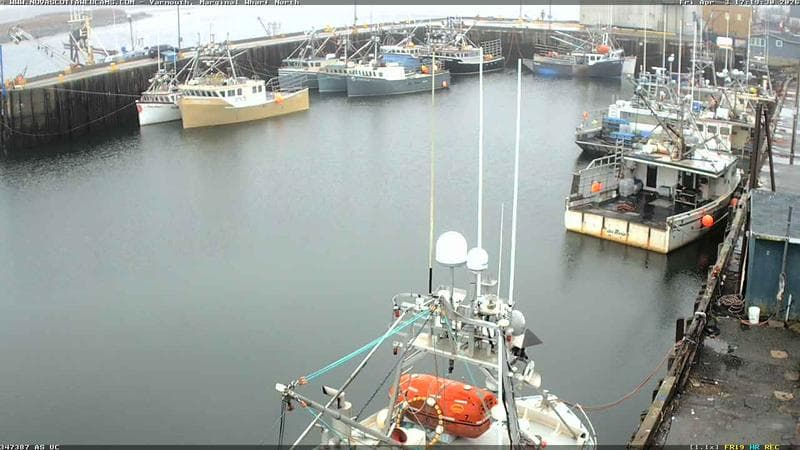 Marginal Wharf North