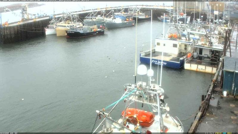 Marginal Wharf North