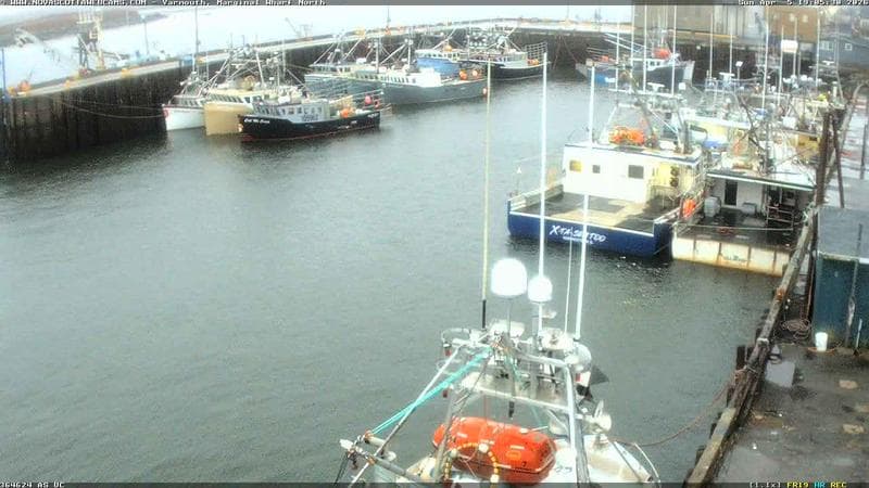 Marginal Wharf North