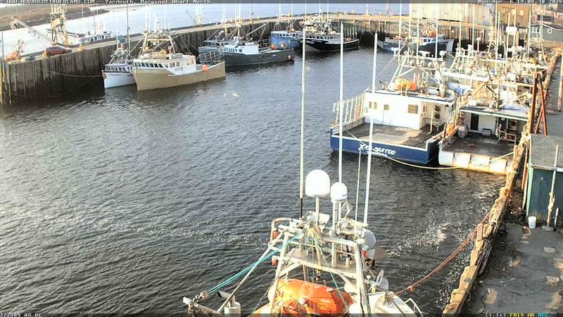 Marginal Wharf North