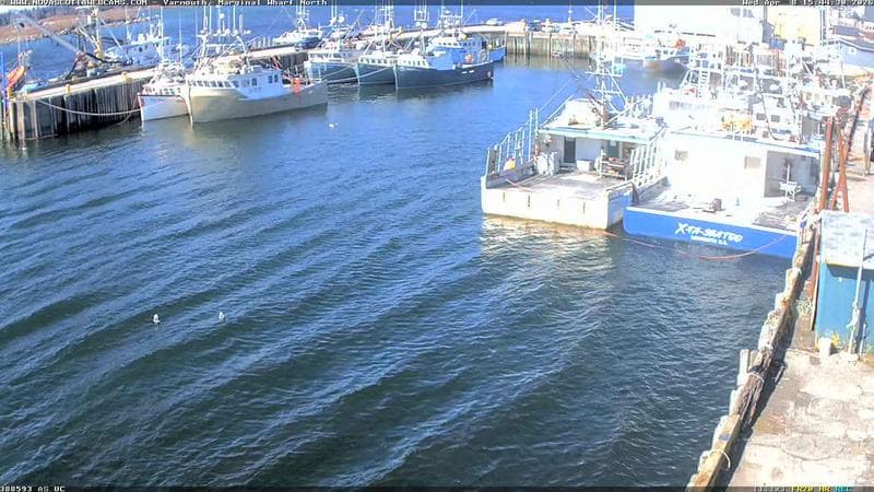 Marginal Wharf North