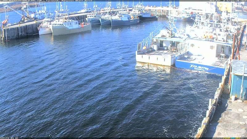 Marginal Wharf North