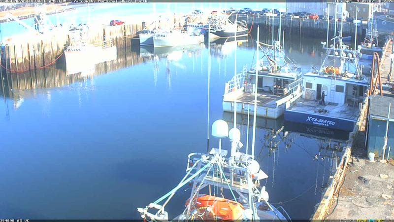 Marginal Wharf North