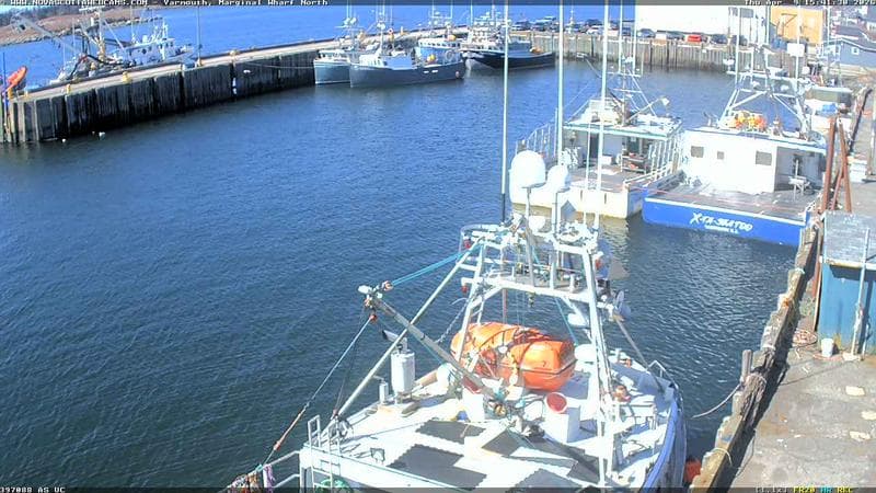 Marginal Wharf North