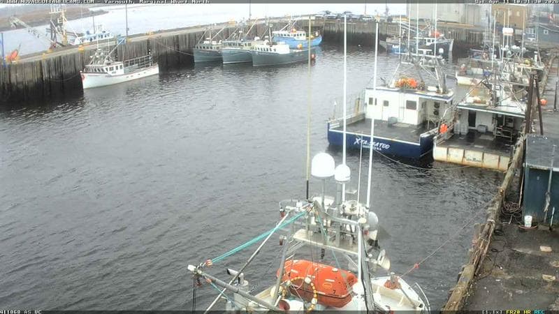 Marginal Wharf North