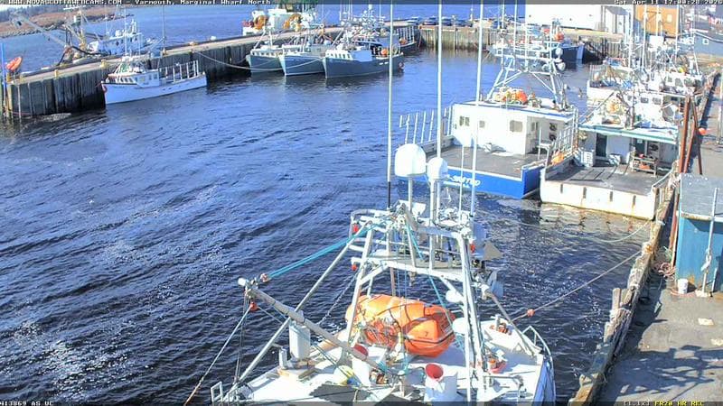 Marginal Wharf North