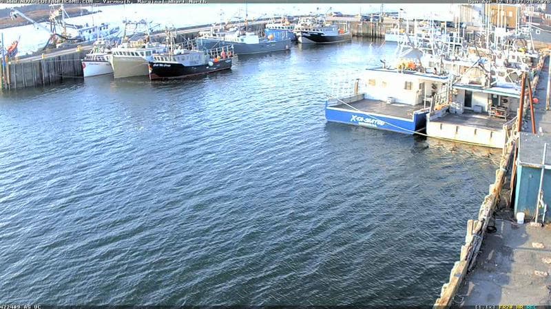 Marginal Wharf North