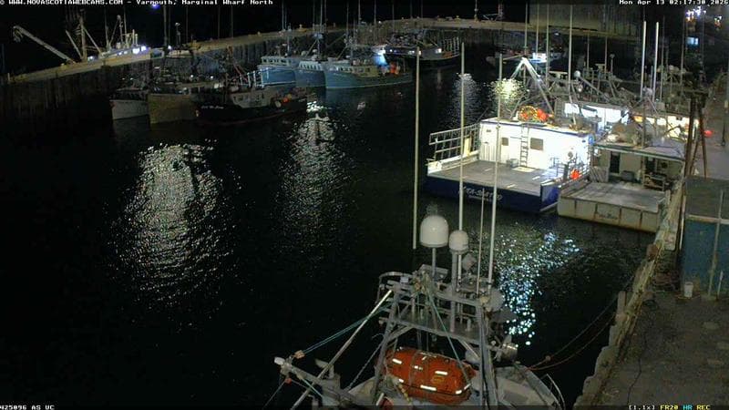 Marginal Wharf North