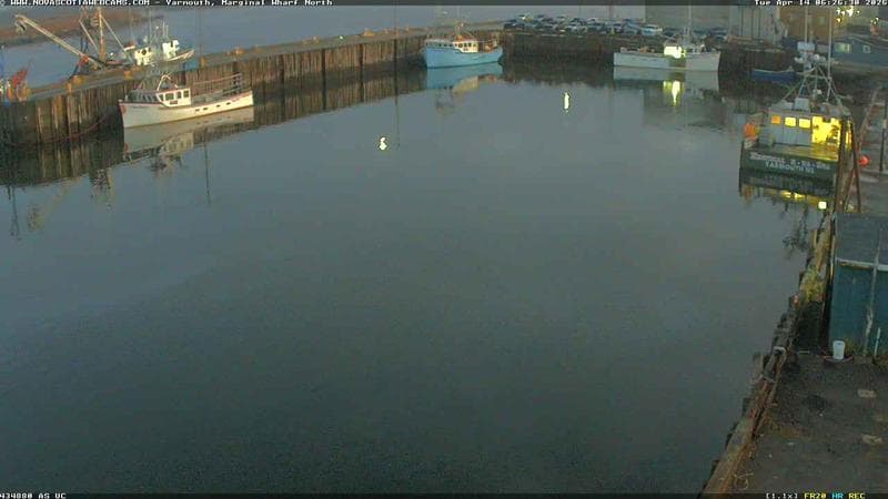 Marginal Wharf North