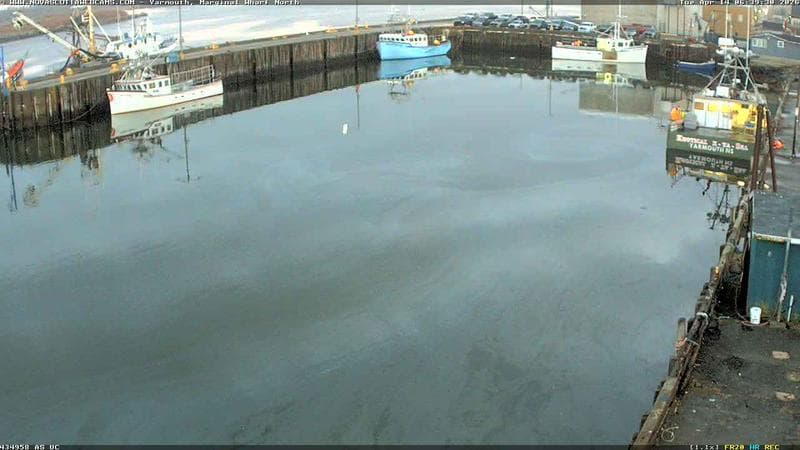 Marginal Wharf North