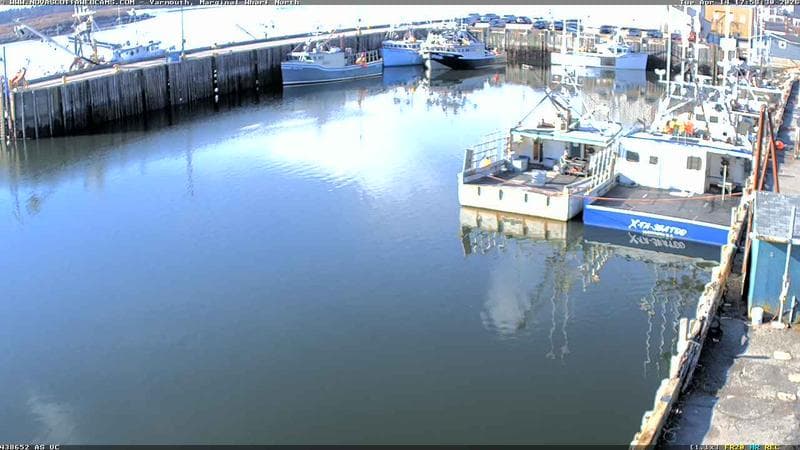 Marginal Wharf North