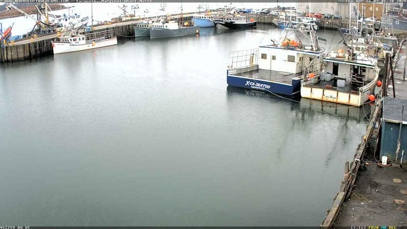 Marginal Wharf North