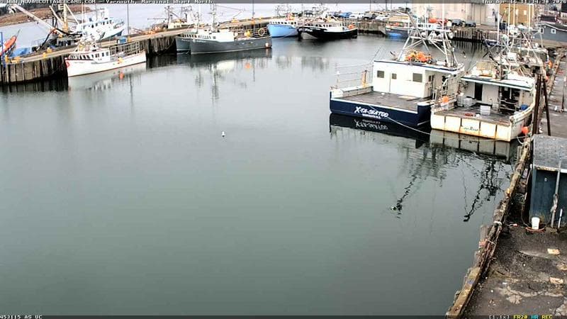 Marginal Wharf North