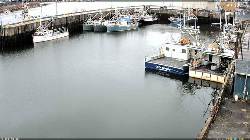 Marginal Wharf North