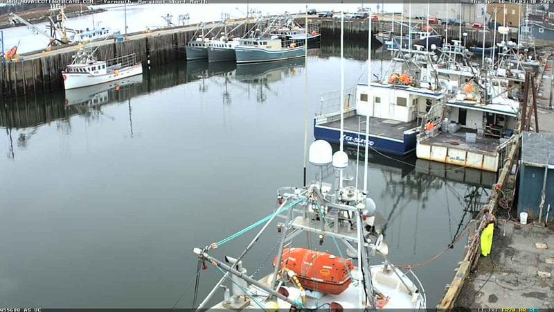 Marginal Wharf North