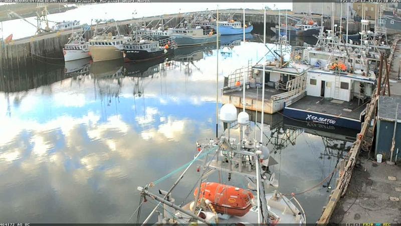 Marginal Wharf North