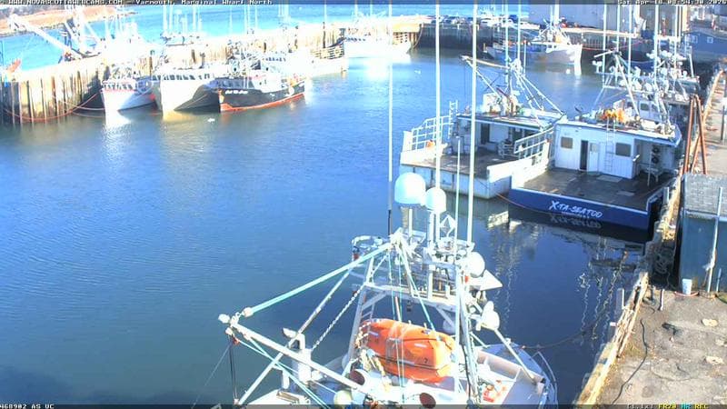 Marginal Wharf North