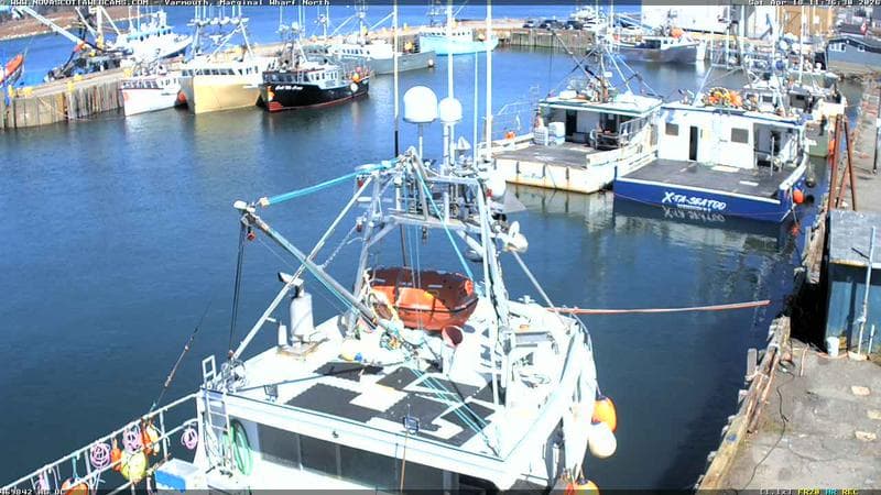 Marginal Wharf North