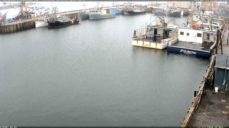 Marginal Wharf North