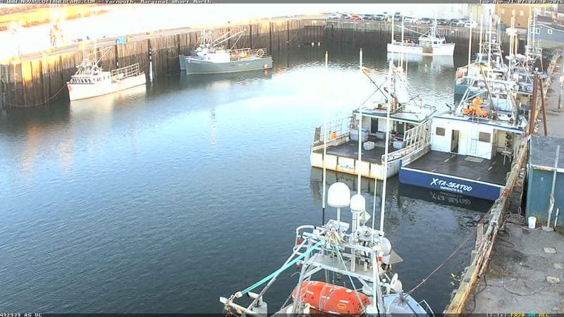 Marginal Wharf North