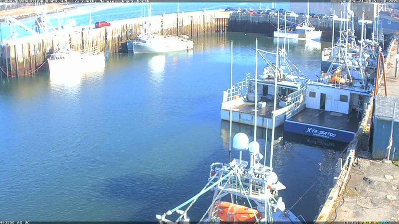 Marginal Wharf North