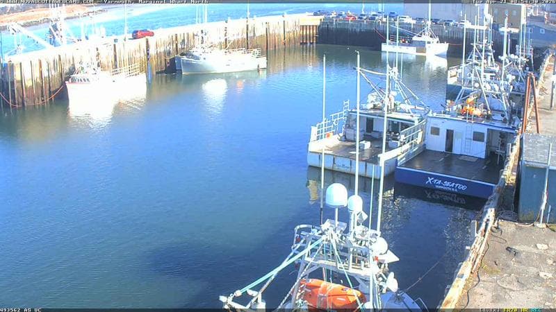 Marginal Wharf North