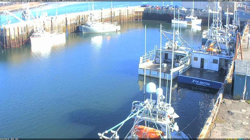 Marginal Wharf North