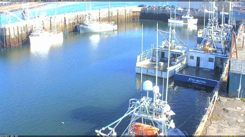 Marginal Wharf North