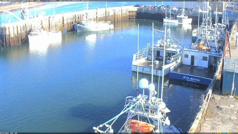 Marginal Wharf North