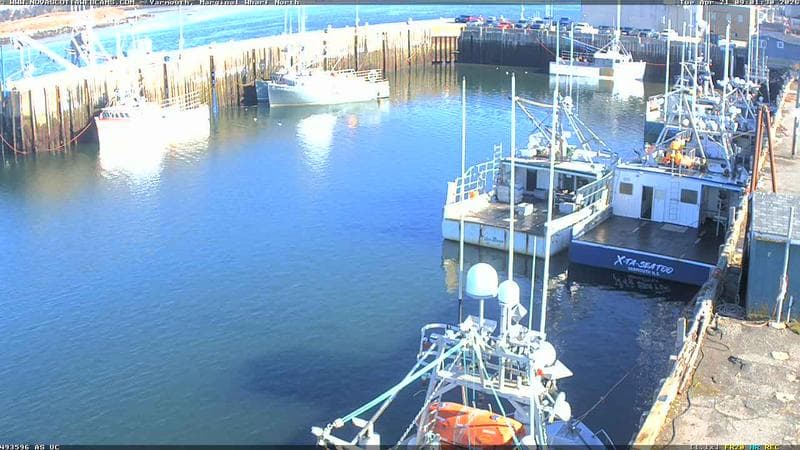 Marginal Wharf North