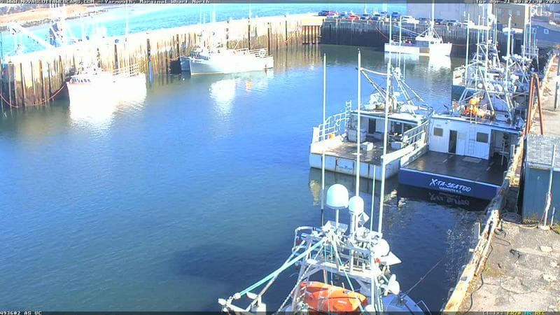 Marginal Wharf North