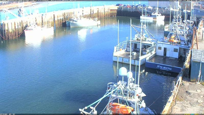 Marginal Wharf North