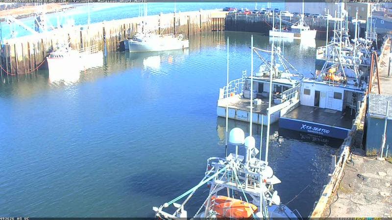 Marginal Wharf North