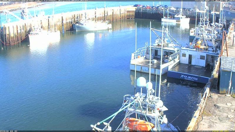 Marginal Wharf North