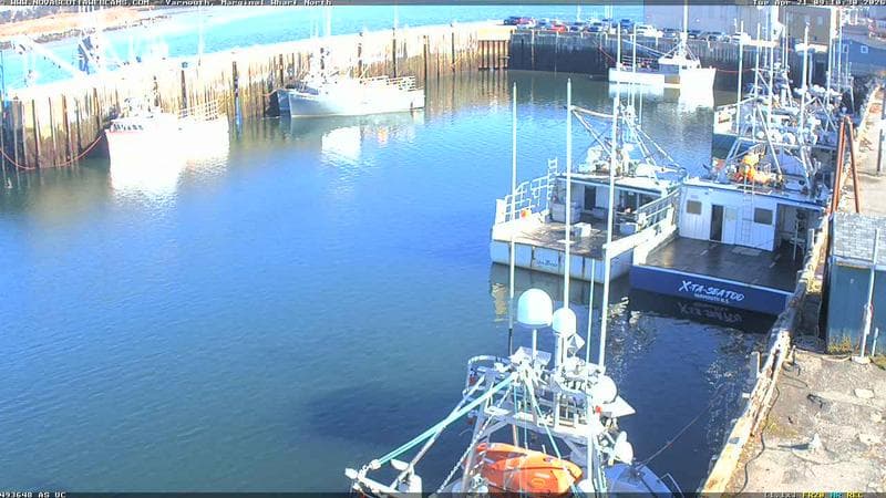 Marginal Wharf North