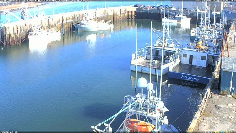 Marginal Wharf North