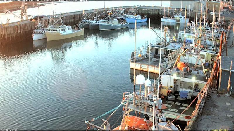 Marginal Wharf North