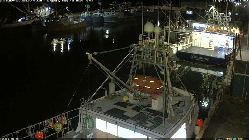 Marginal Wharf North