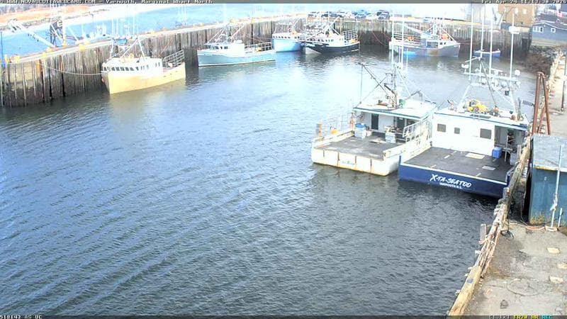 Marginal Wharf North