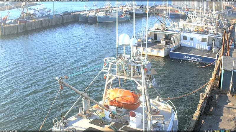 Marginal Wharf North