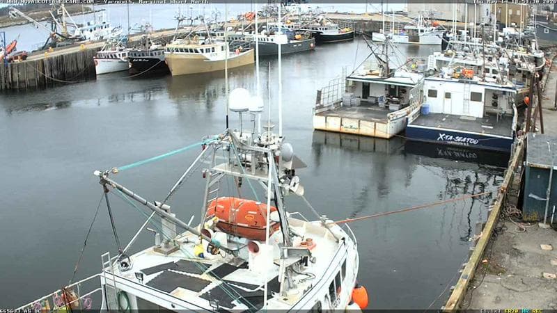 Marginal Wharf North