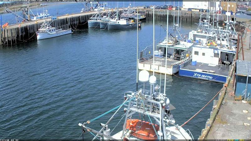 Marginal Wharf North