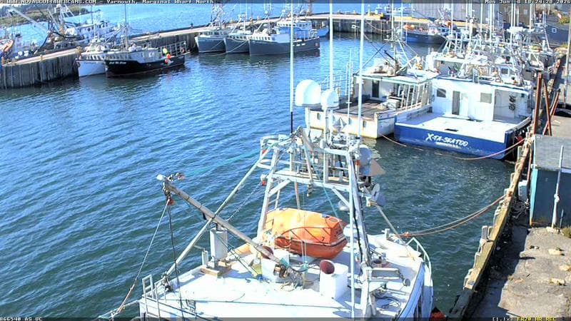 Marginal Wharf North