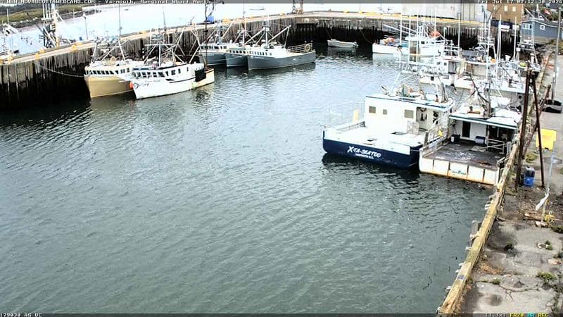 Marginal Wharf North